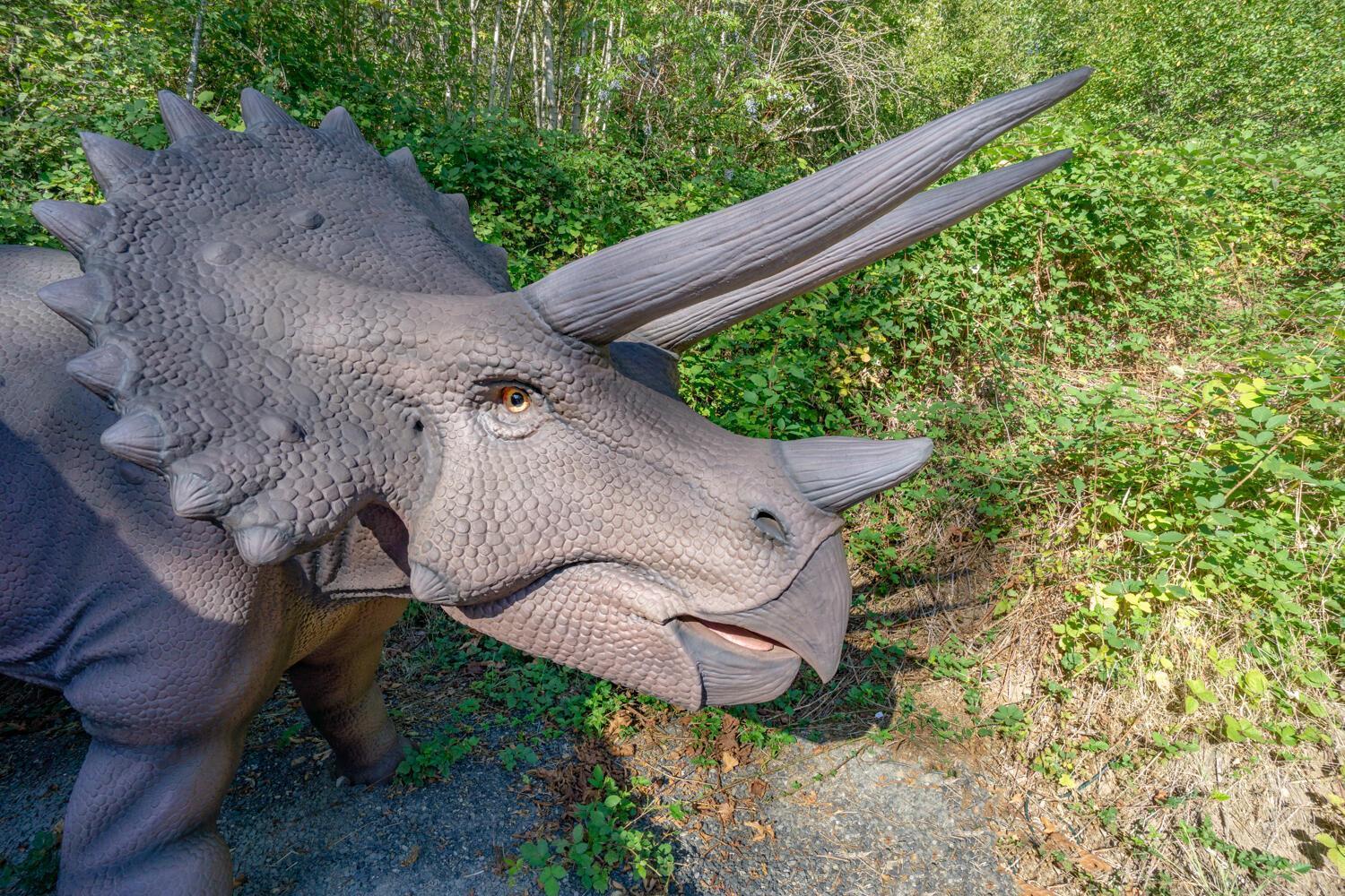 Jurassic Rebirth Out On Jul 2 - Book Your Stay Now (Adults Only) Washougal Exteriör bild
