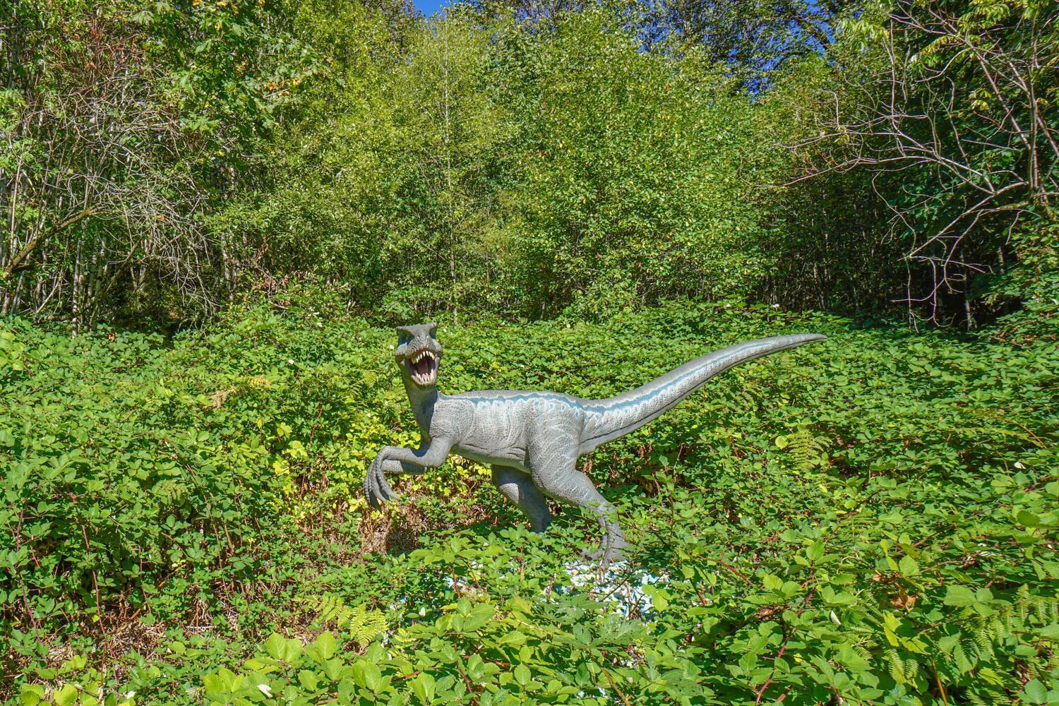 Jurassic Rebirth Out On Jul 2 - Book Your Stay Now (Adults Only) Washougal Exteriör bild